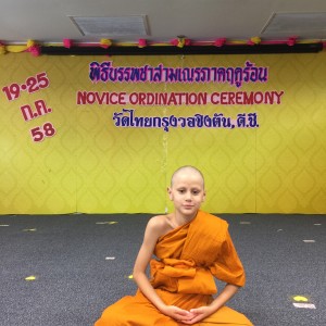 เหล่ากอของสมณะในอเมริกา เหล่ากอของสมณะในอเมริกา