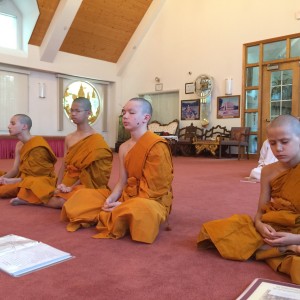 เหล่ากอของสมณะในอเมริกา เหล่ากอของสมณะในอเมริกา