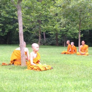 เหล่ากอของสมณะในอเมริกา เหล่ากอของสมณะในอเมริกา