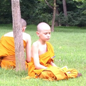 เหล่ากอของสมณะในอเมริกา เหล่ากอของสมณะในอเมริกา