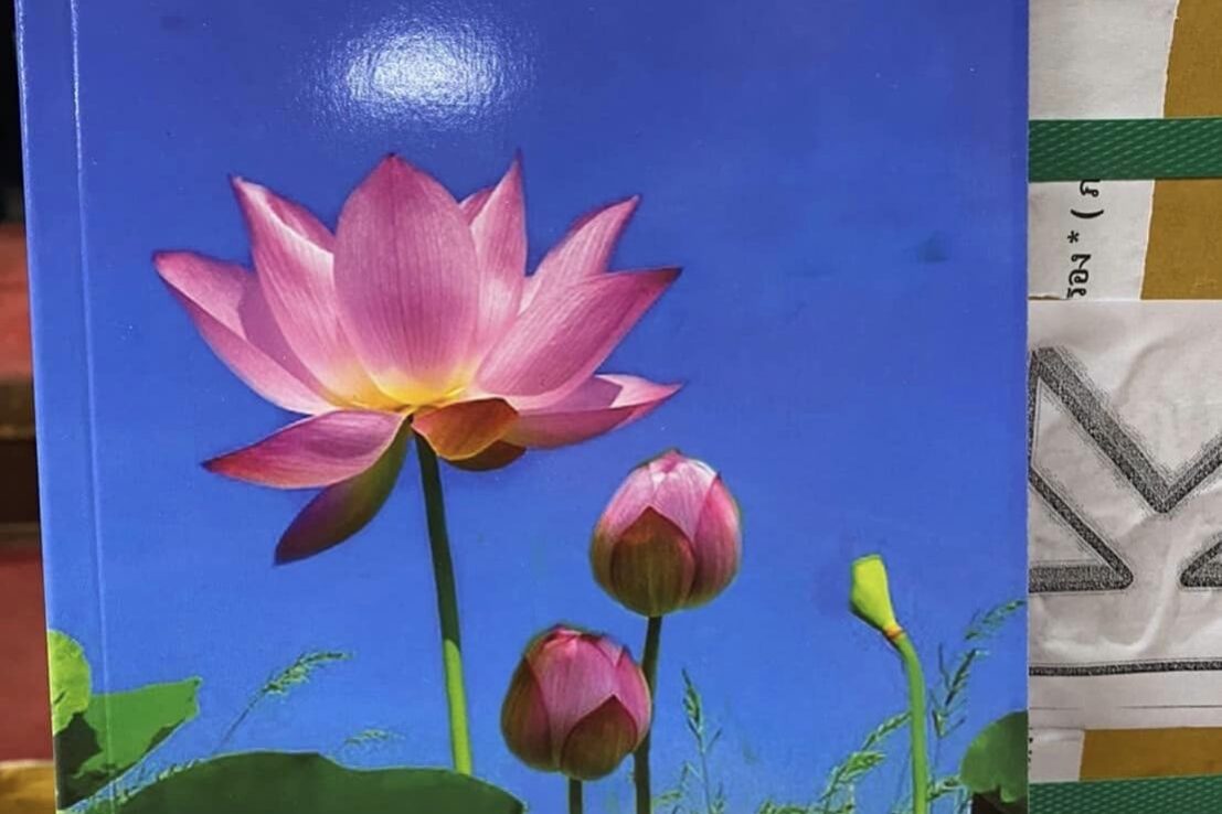 314241965_10230509508342261_4774407756432562859_n